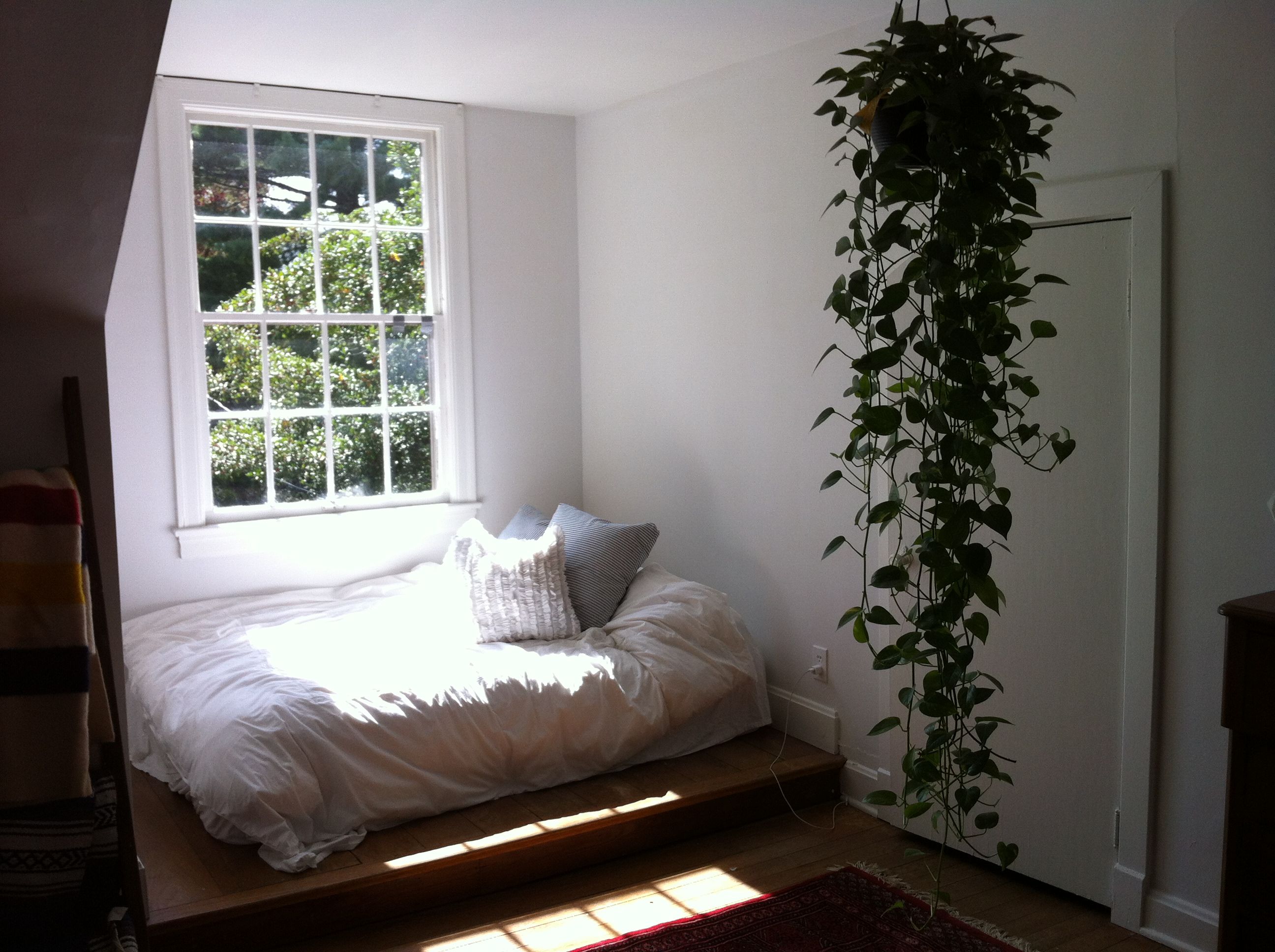Растения в спальной